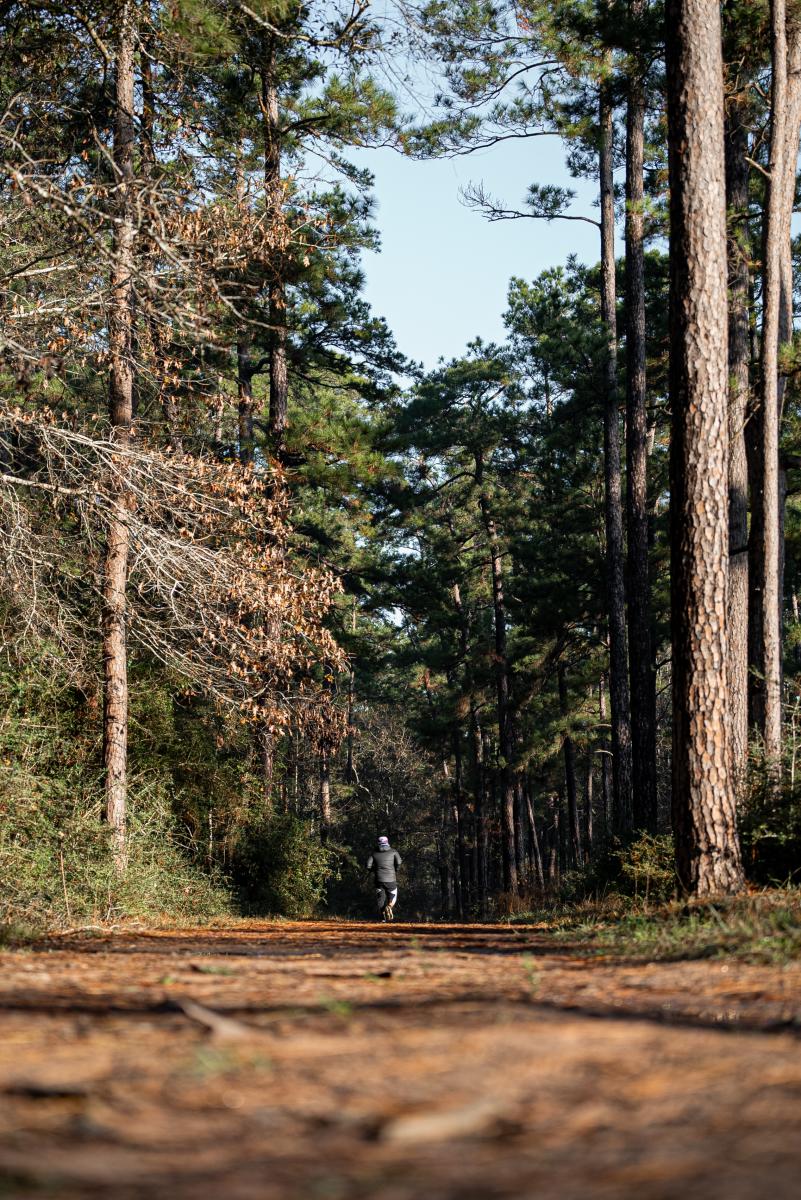 The camera faces a pathway leading into Jones State Forest. It is dark through the trees, but the sky is bright blue, and the sun (behind the camera) highlights the trees in front and turns the pine needle-covered path bright amber. There is a man in a gray sport jacket and black shorts running into the woods.
