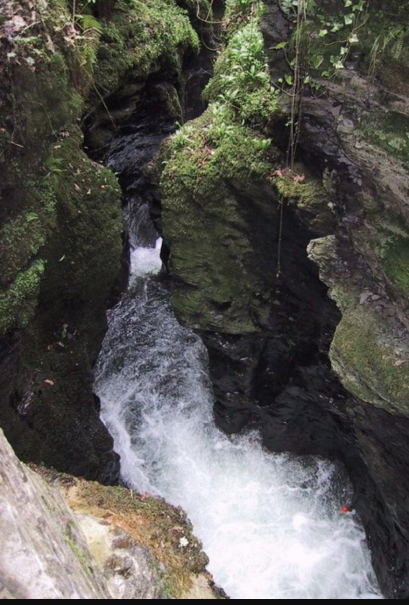 A narrow gorge with moss-covered rock walls and green foliage surrounds a rushing stream of white water, creating a dynamic and refreshing scene.