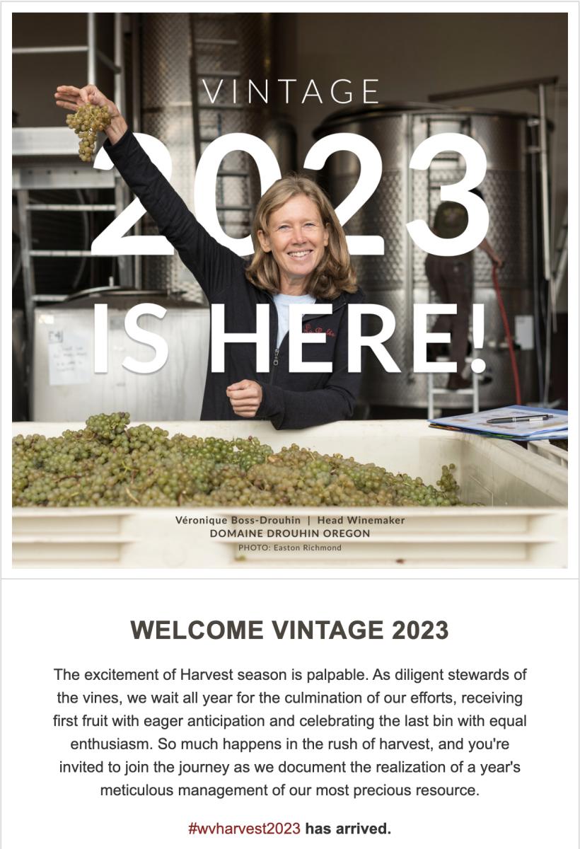Vintage 2023 Email Campaign