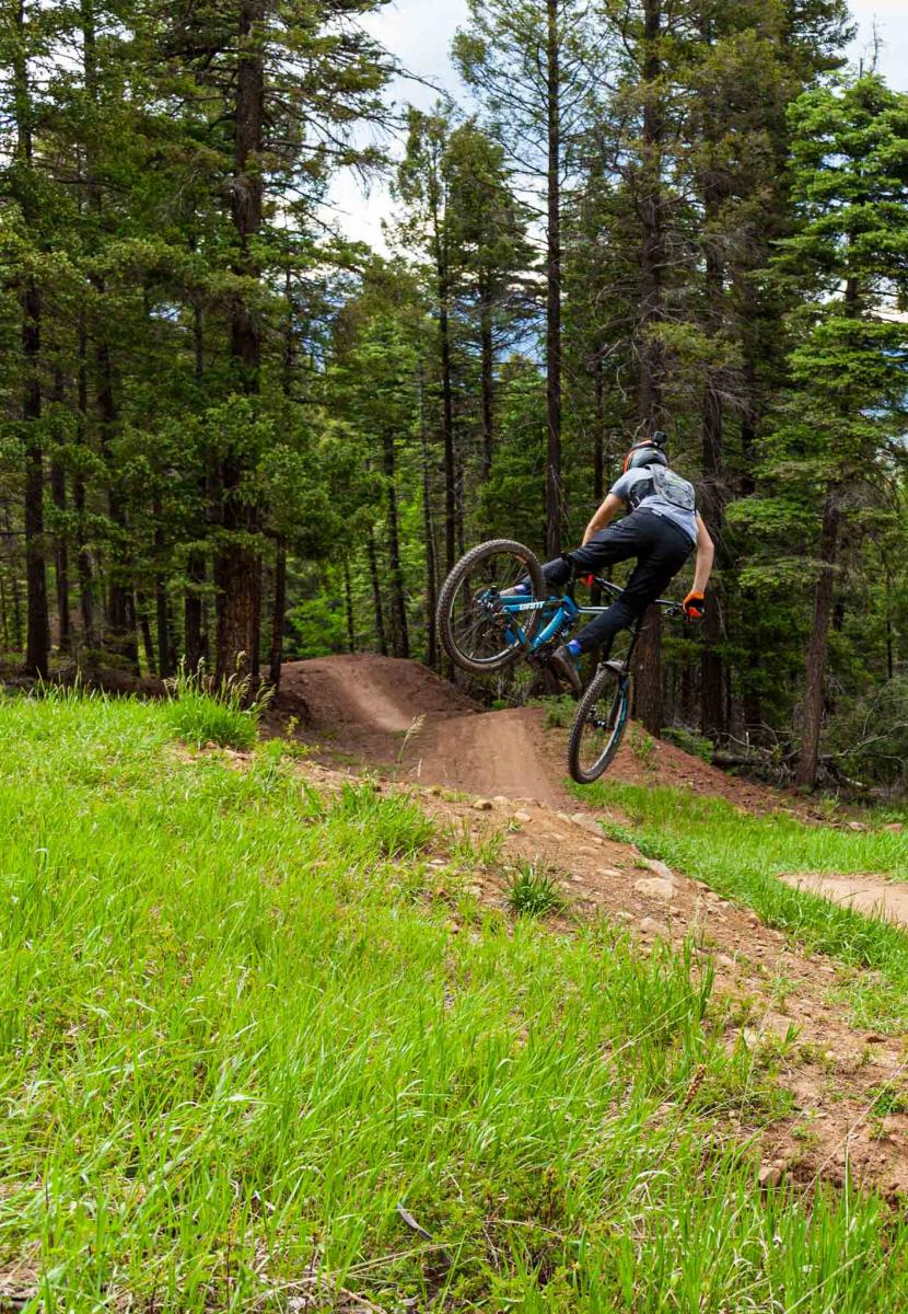 A person mountain biking through a forested trail, catching air over a dirt jump.