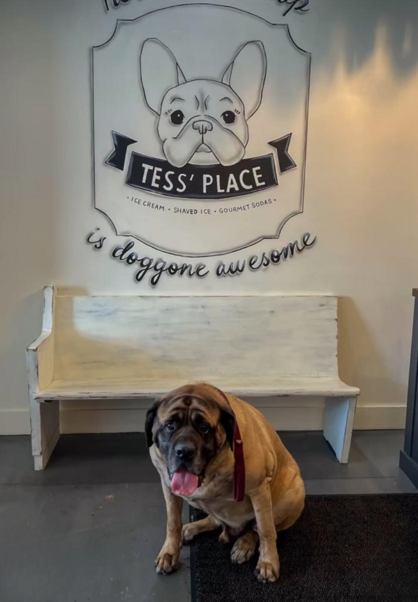 hector tess' place