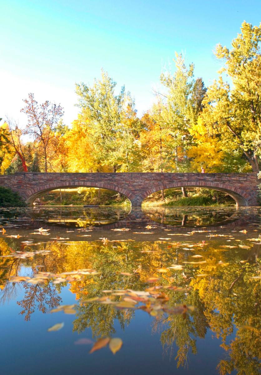 Varsity Bridge & Lake in the fall