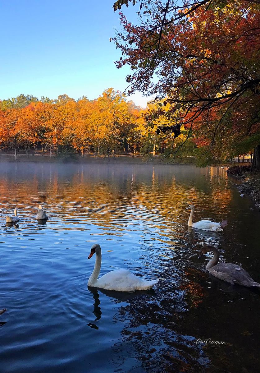 Dunnegan Park in Bolivar Missouri