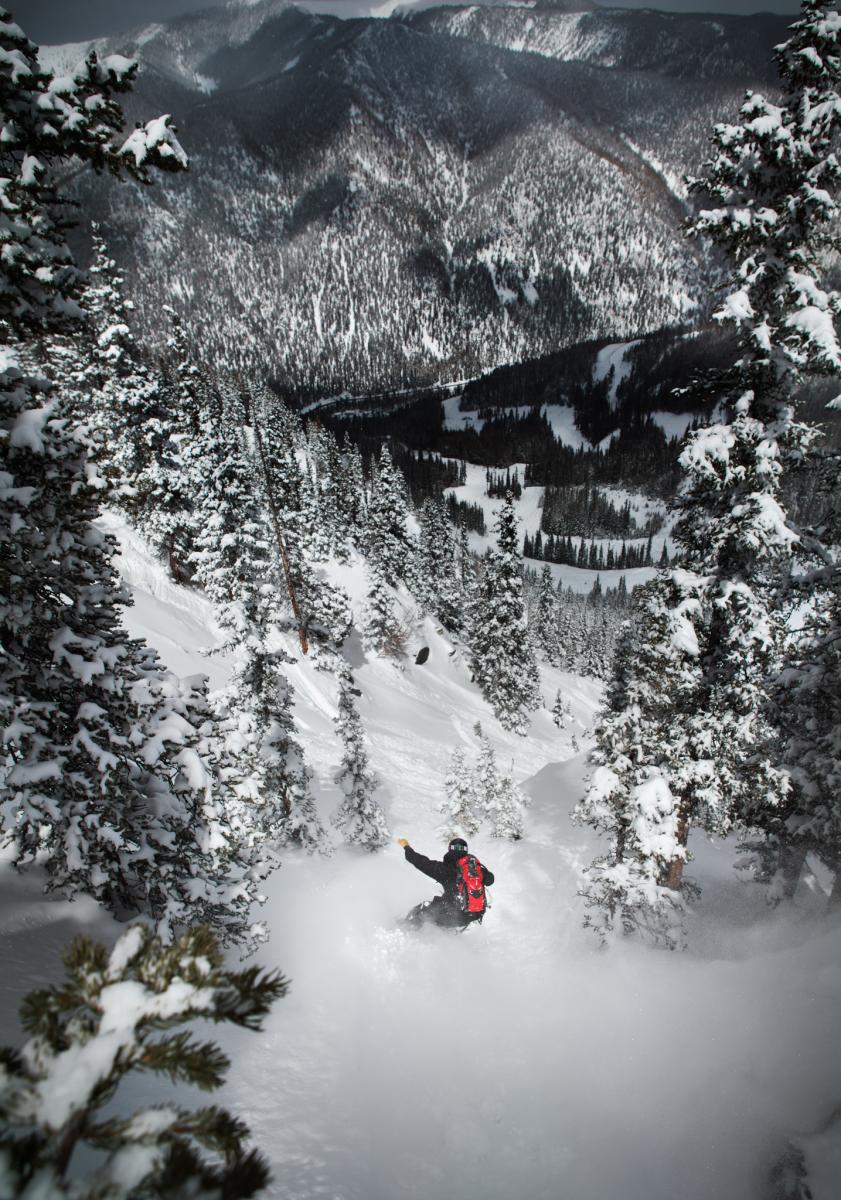 A person snowboarding through deep powder snow among trees with a mountainous backdrop.