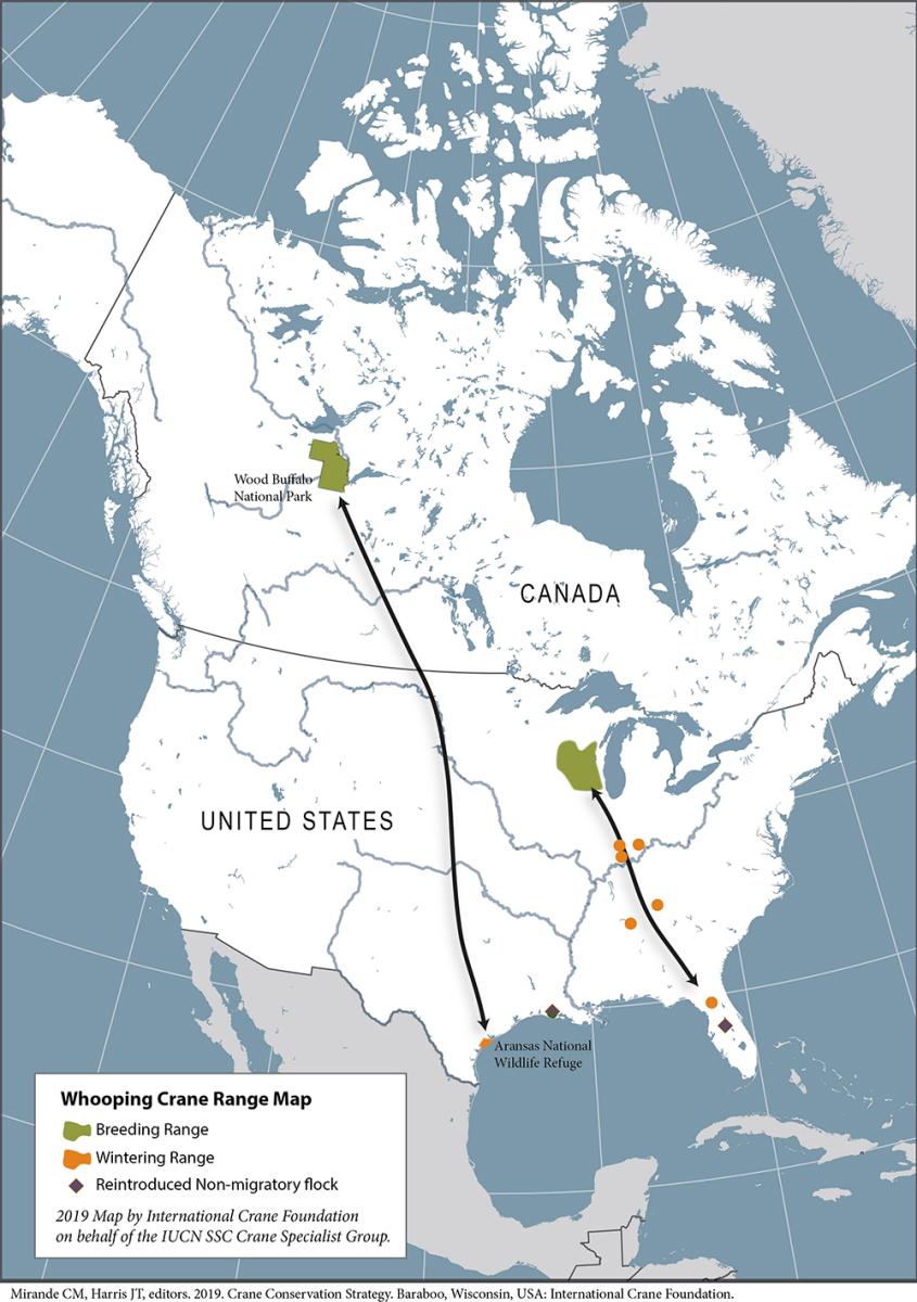 ICF Whooping Crane migration map