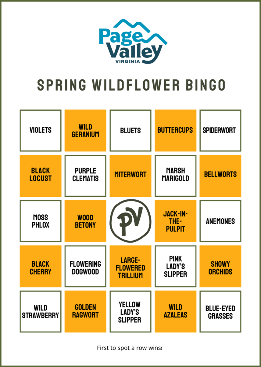 Wildflower Bingo