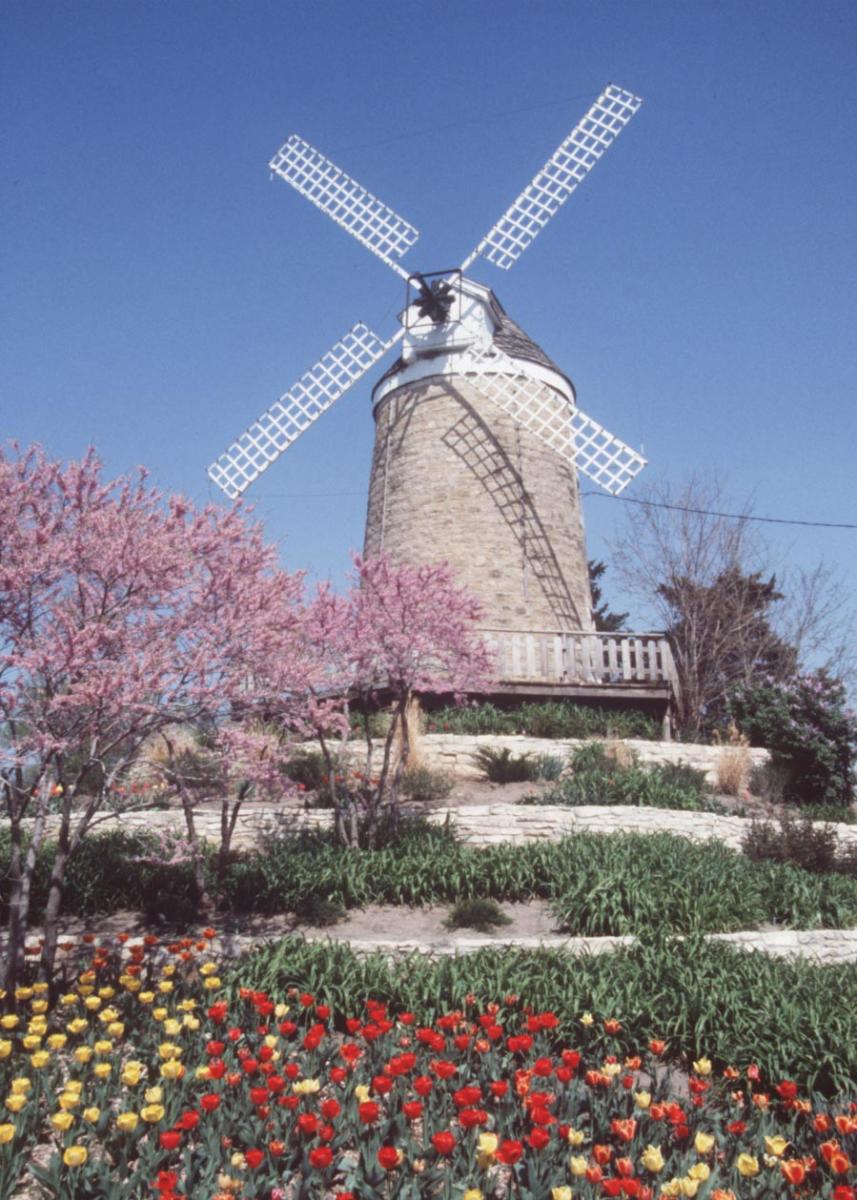 Dutch Mill