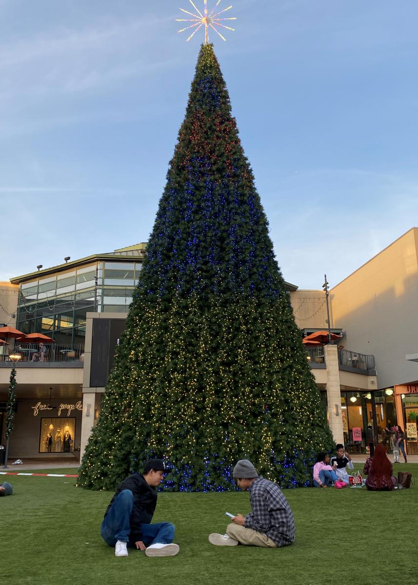 The Woodlands Mall Christmas Tree at Daytime