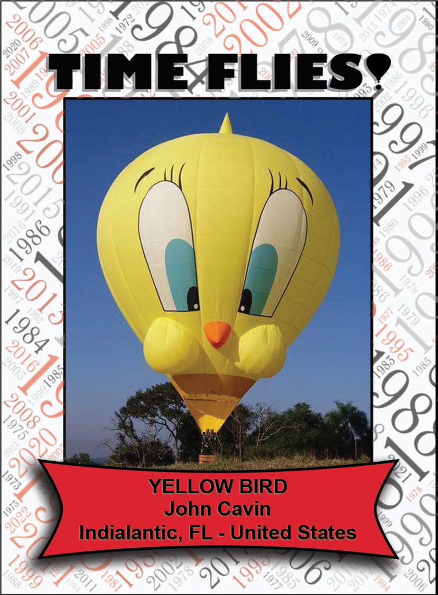 Special Shape - Yellow Bird