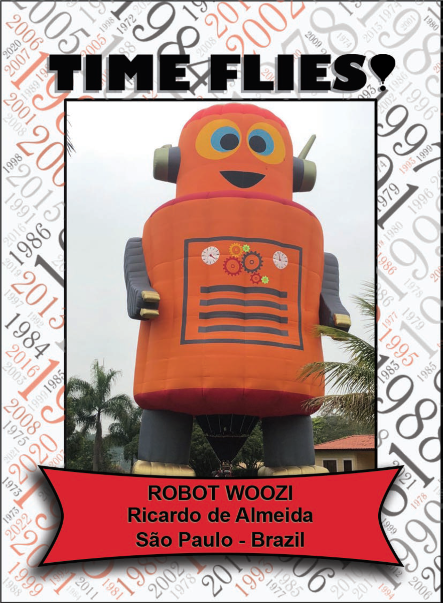 Special Shape - Robot Woozi