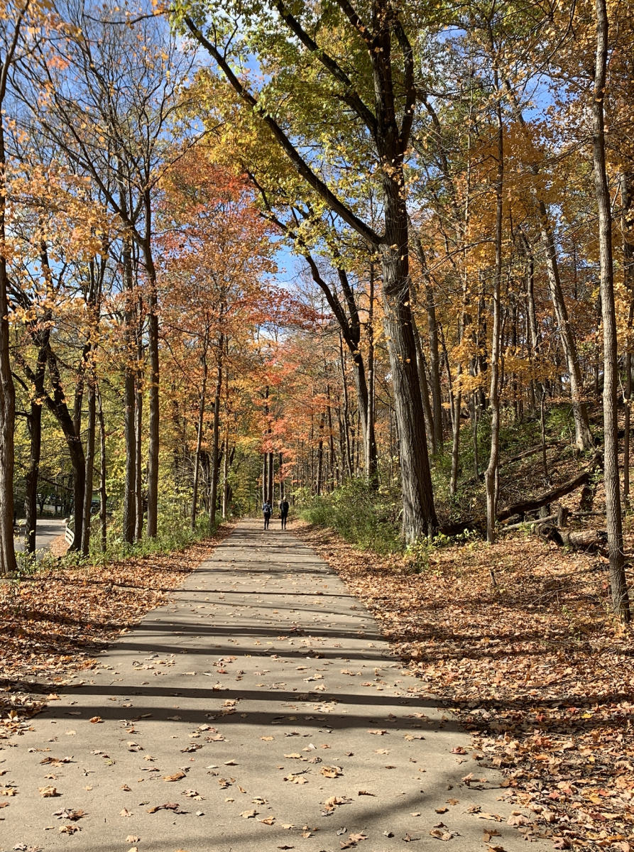 Happy Hollow Park