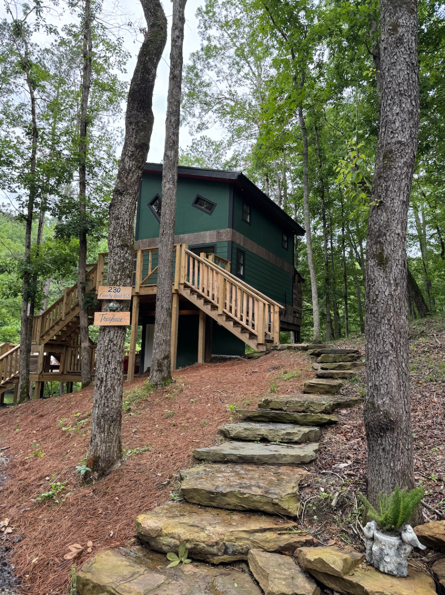 Fire Tower Camp Treehouse in the woods.