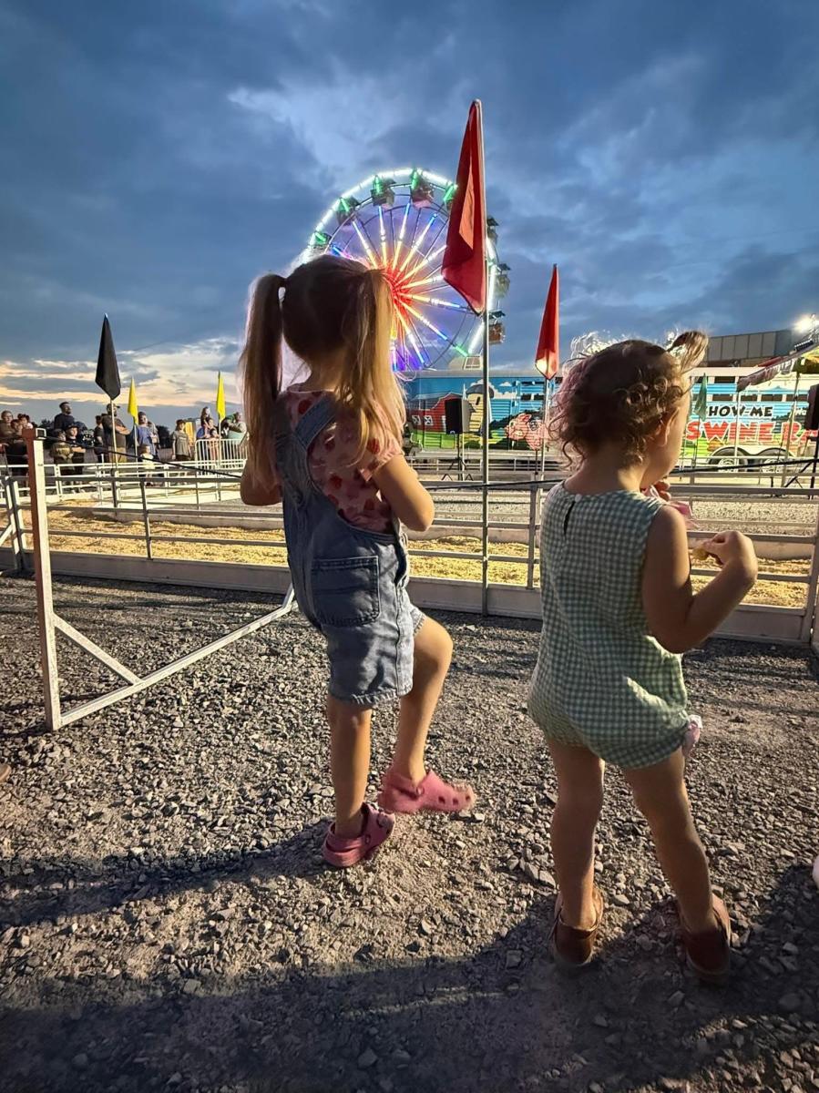 A young girl and a toddler stand looking at the fair with a ferris wheel lit up in the evening sky.