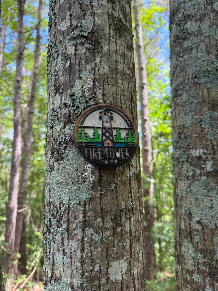 Fire Tower Camp logo on a tree in the woods.