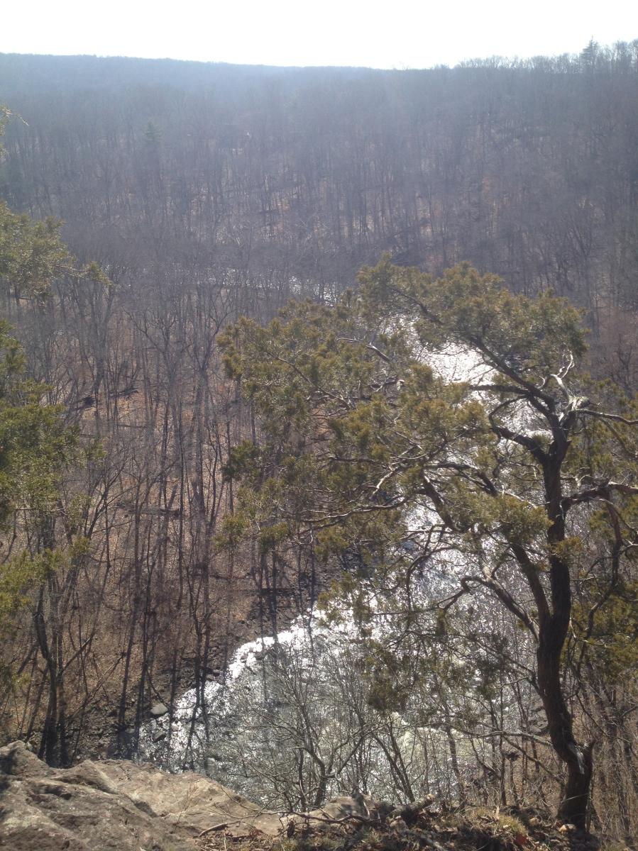 High Rocks Photo 2