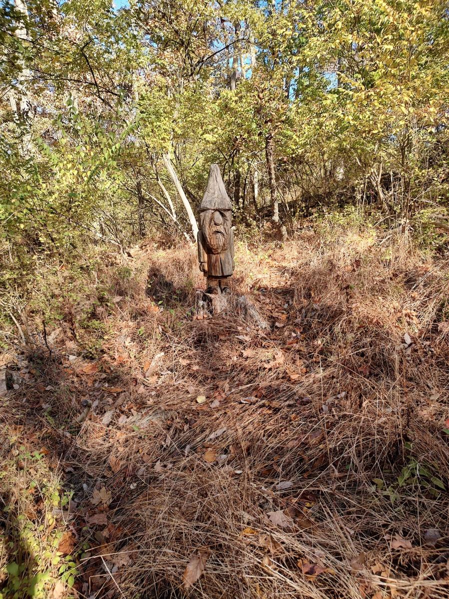 Image of a gnome carved out of tree in a park, surrounded by trees and bushes.