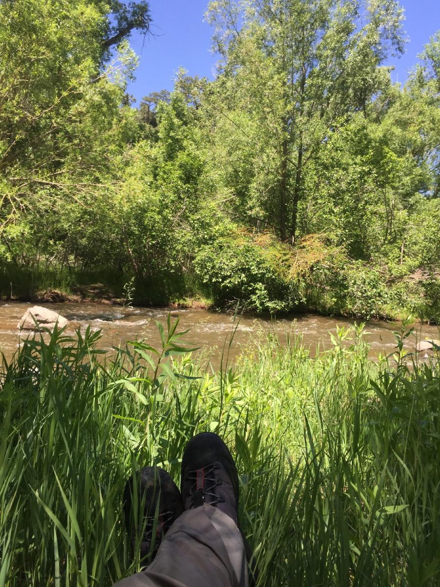 Trout fishing near Denver, Colorado