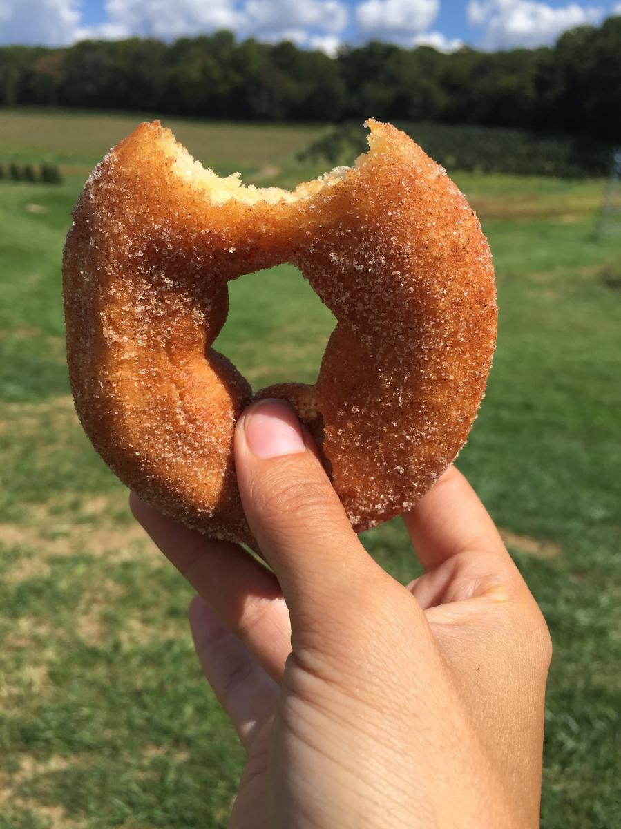 Apple Cider Donut at Gaver Farm