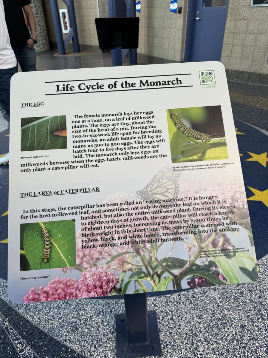 Monarch plaque