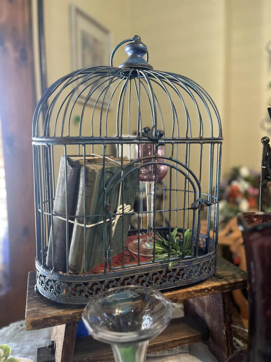 vintage birdcage filled with books