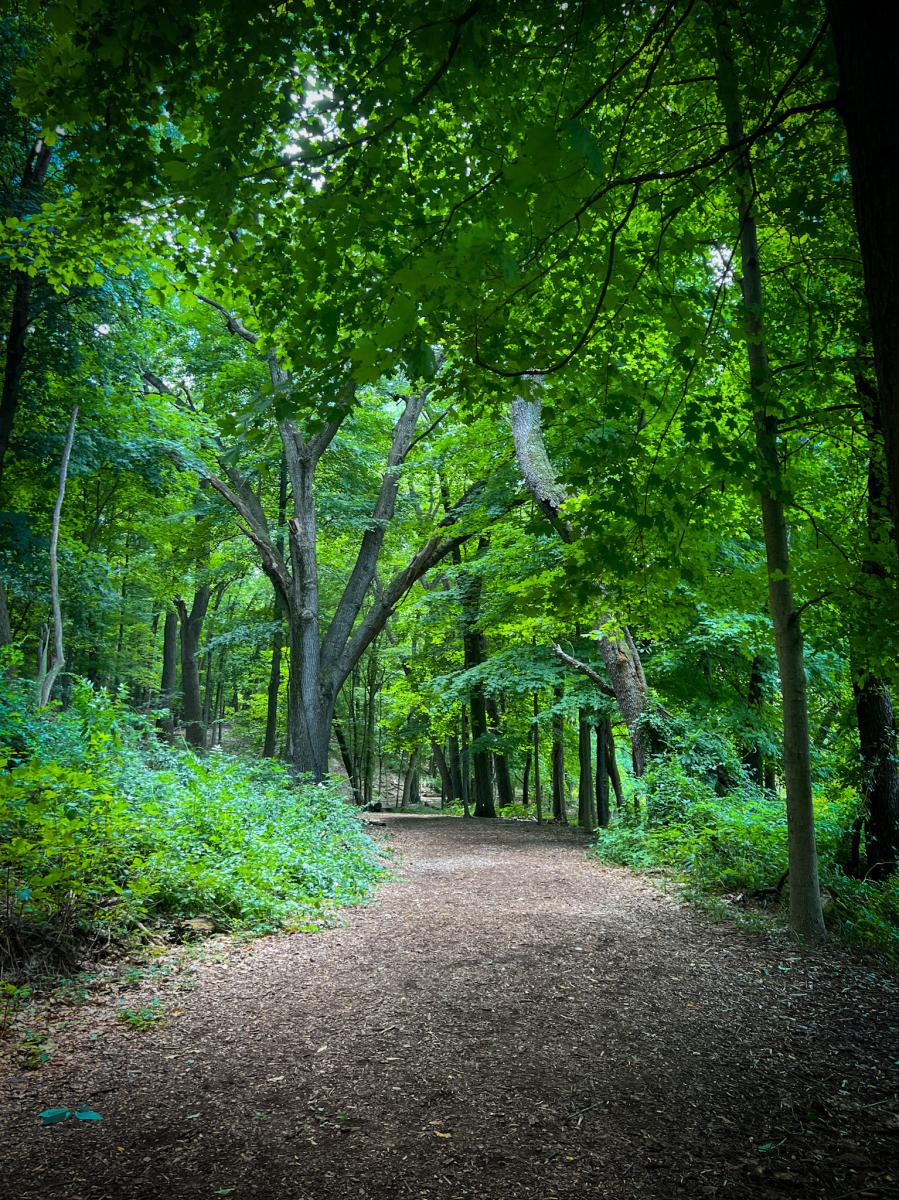 Kleinstuck Nature Preserve