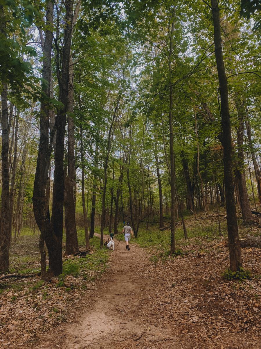 Wolf Tree Nature Trails