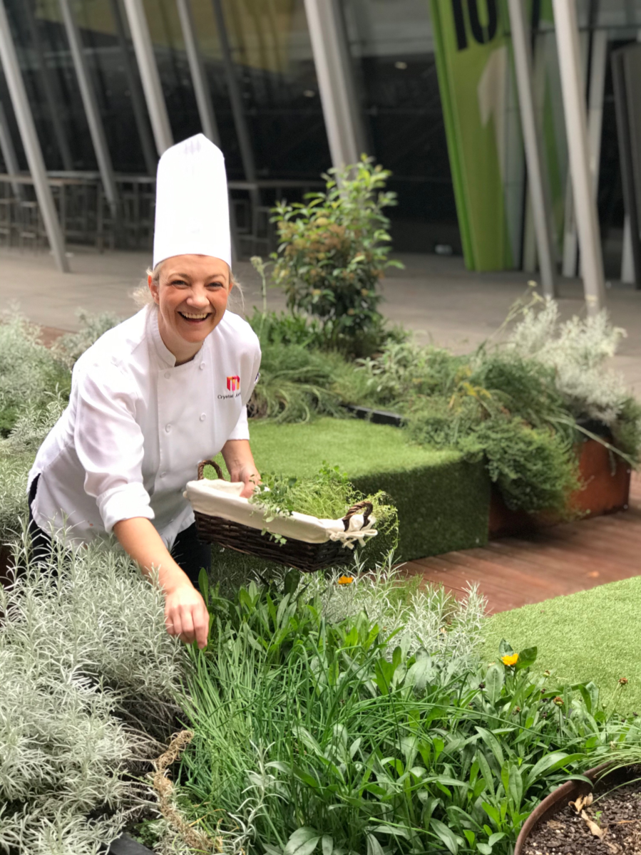 Chef picking fresh herbs at Melbourne Convention and Exhibition Centre