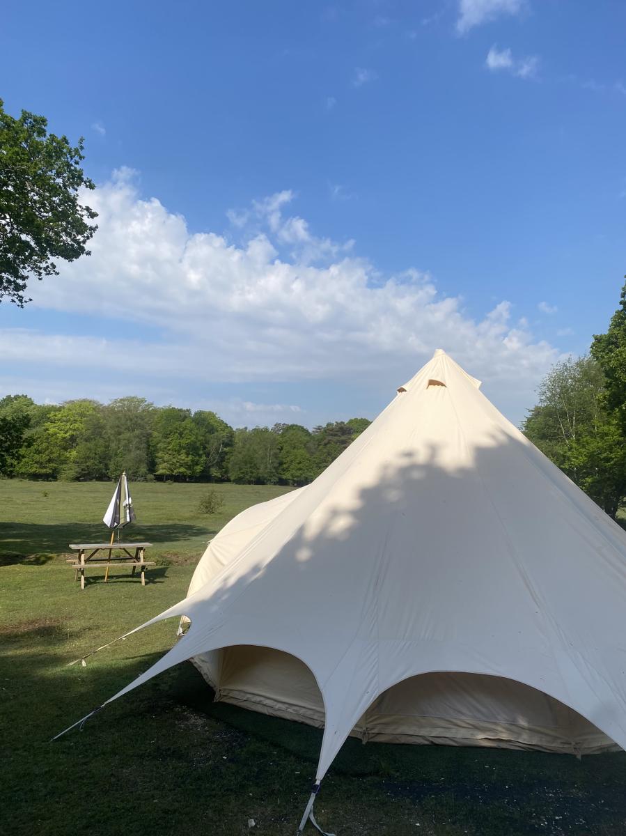 Glamping - Camping New Forest 2