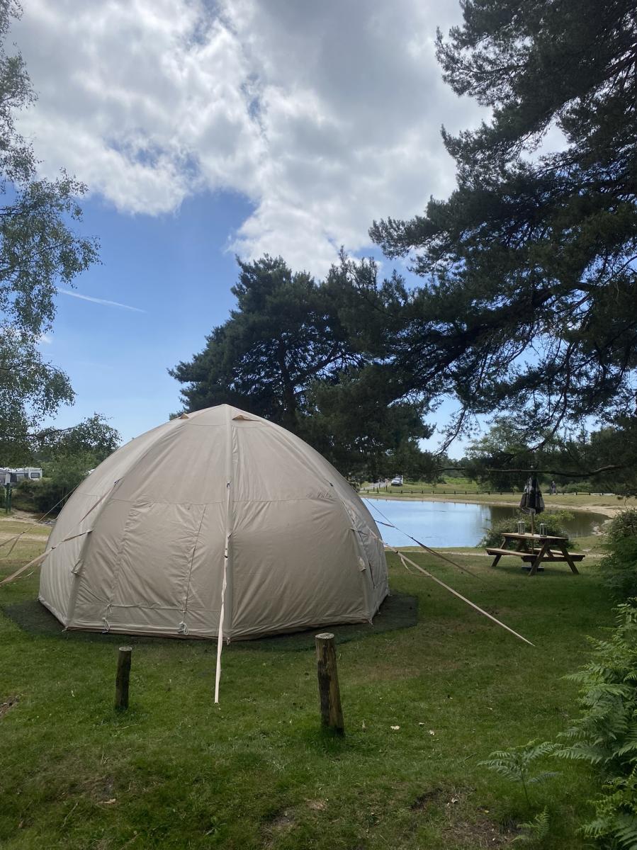 Glamping - Camping New Forest 3