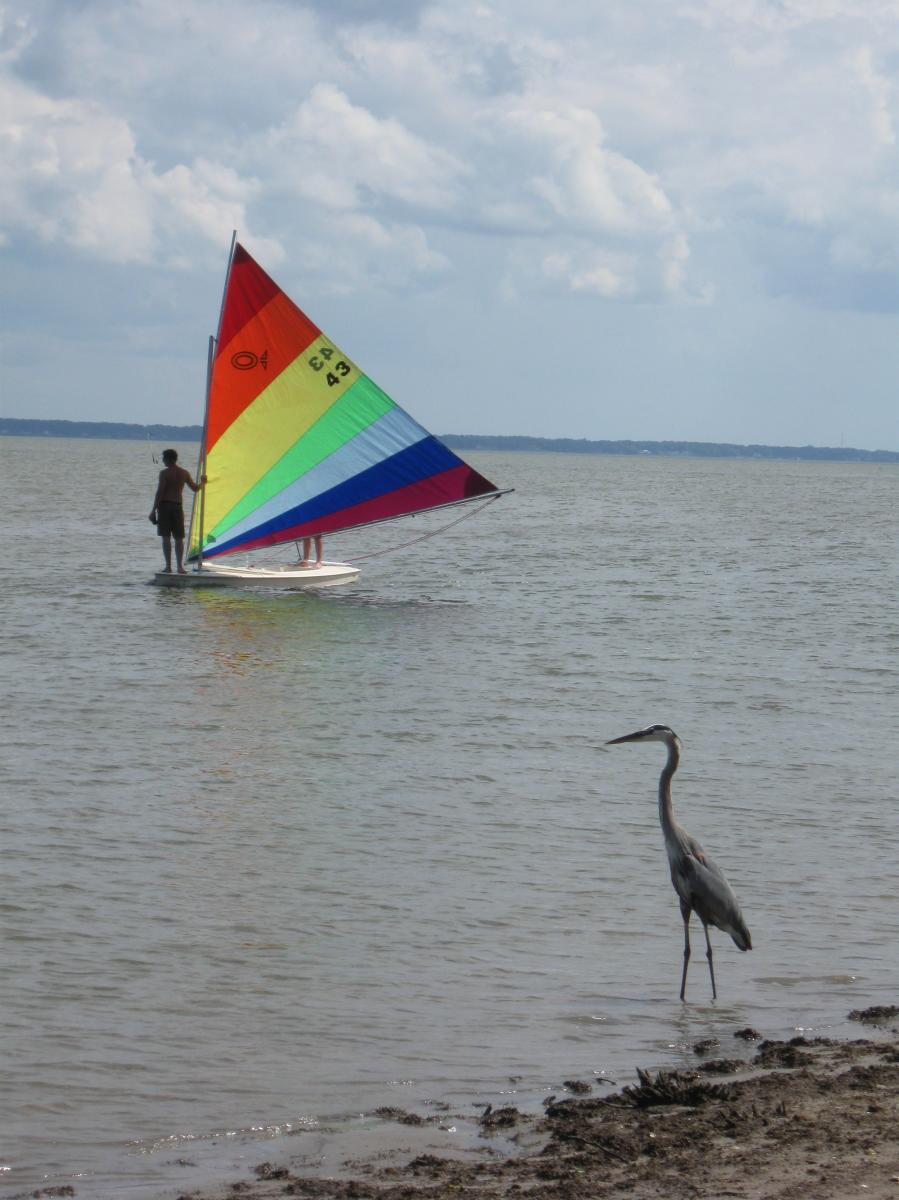Sailing and Fishing (Menchville Marina)