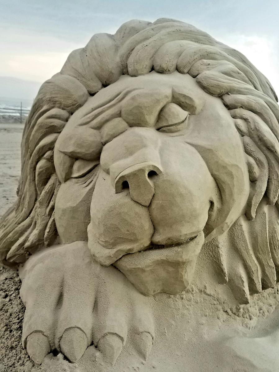 Sand sculpture from the front view of a lion sleeping peacefully.