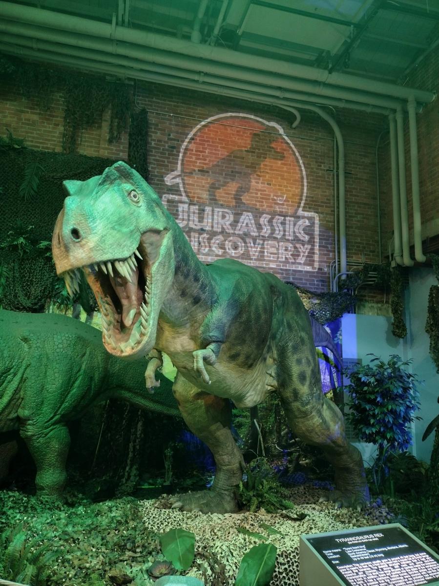 The Discovery Center Jurassic Discovery