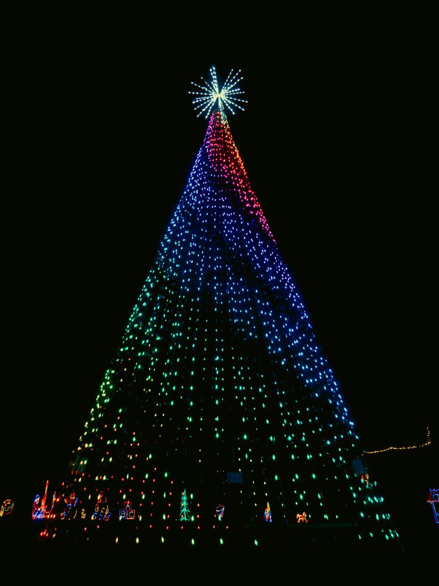 Christmas Tree Light Show