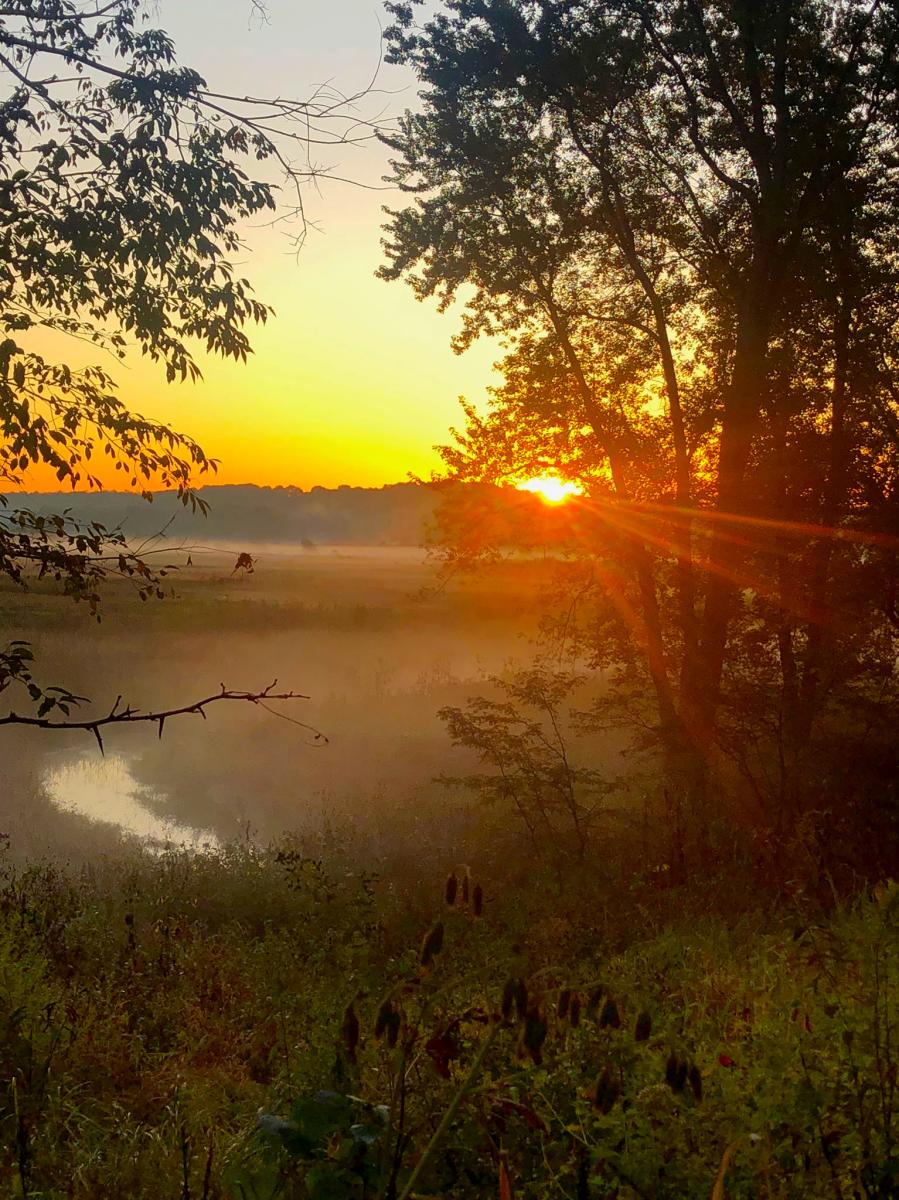 Prophetstown State Park