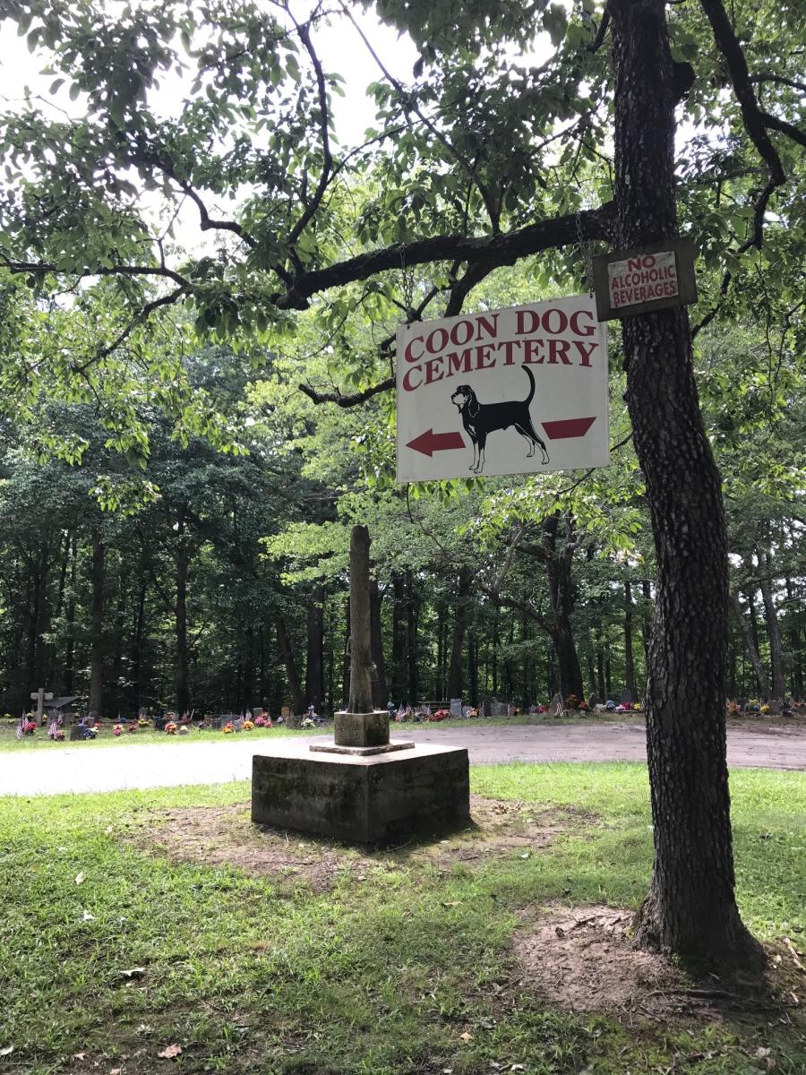 Carley’s Adventures: Coon Dog Cemetery