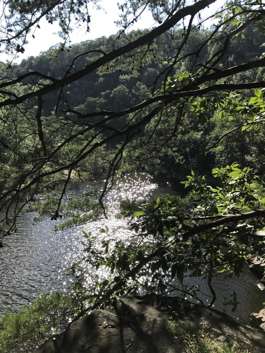 Carley’s Adventures: DeSoto Falls
