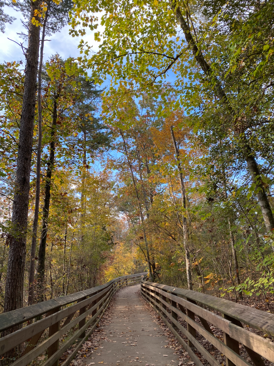 little river falls boardwalk