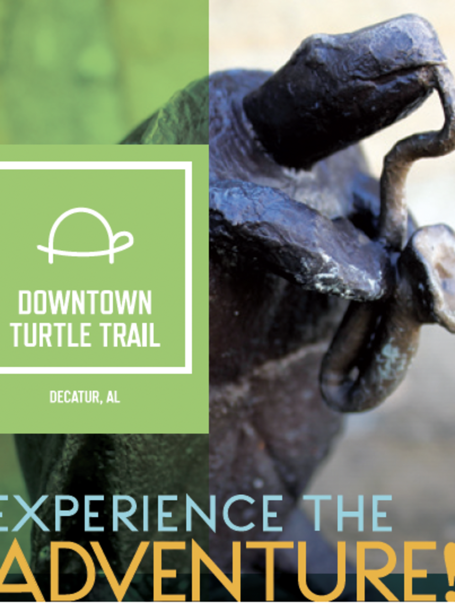 Downtown Turtle Trail