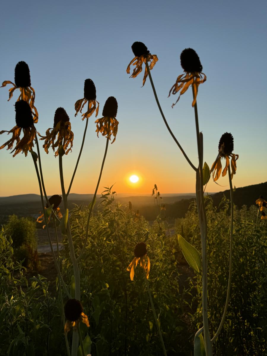 Blevins Gap sunset