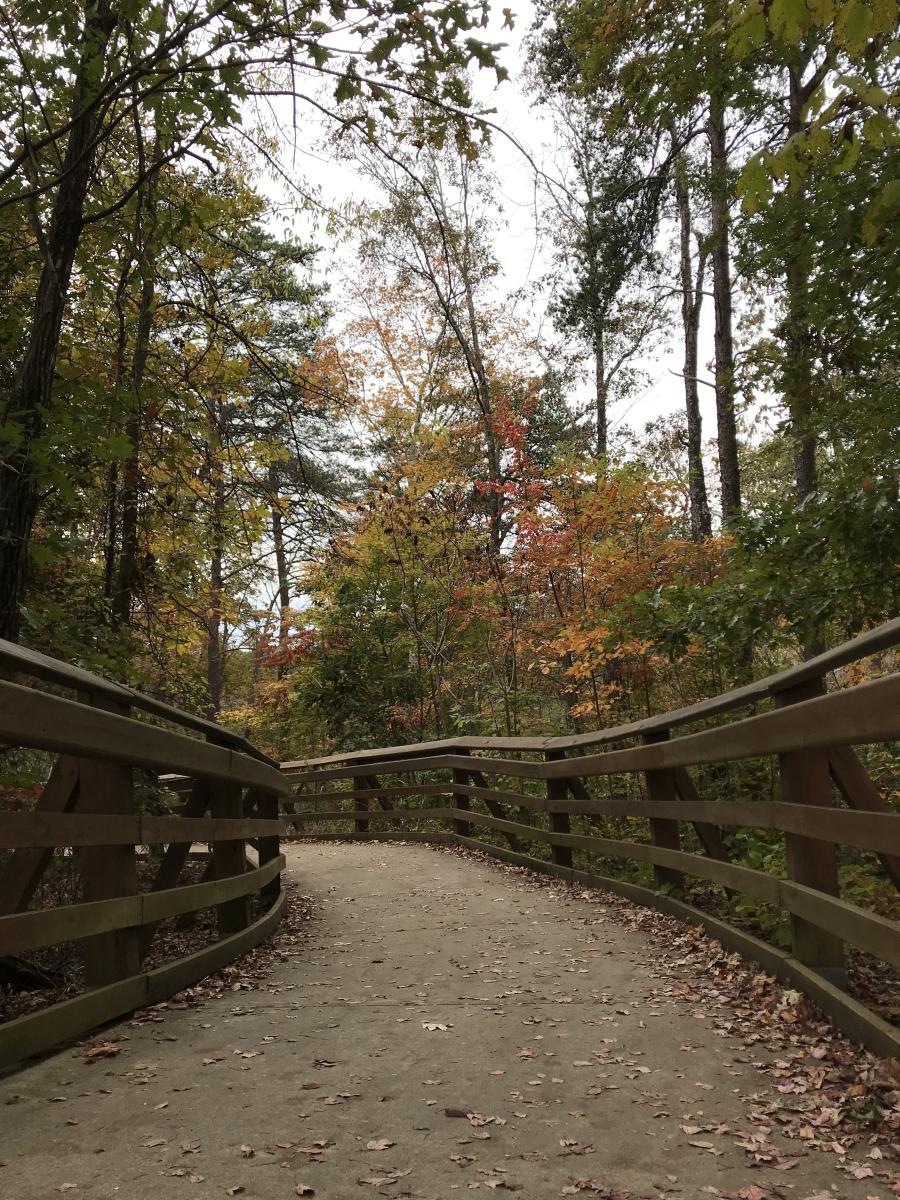 little river canyon path