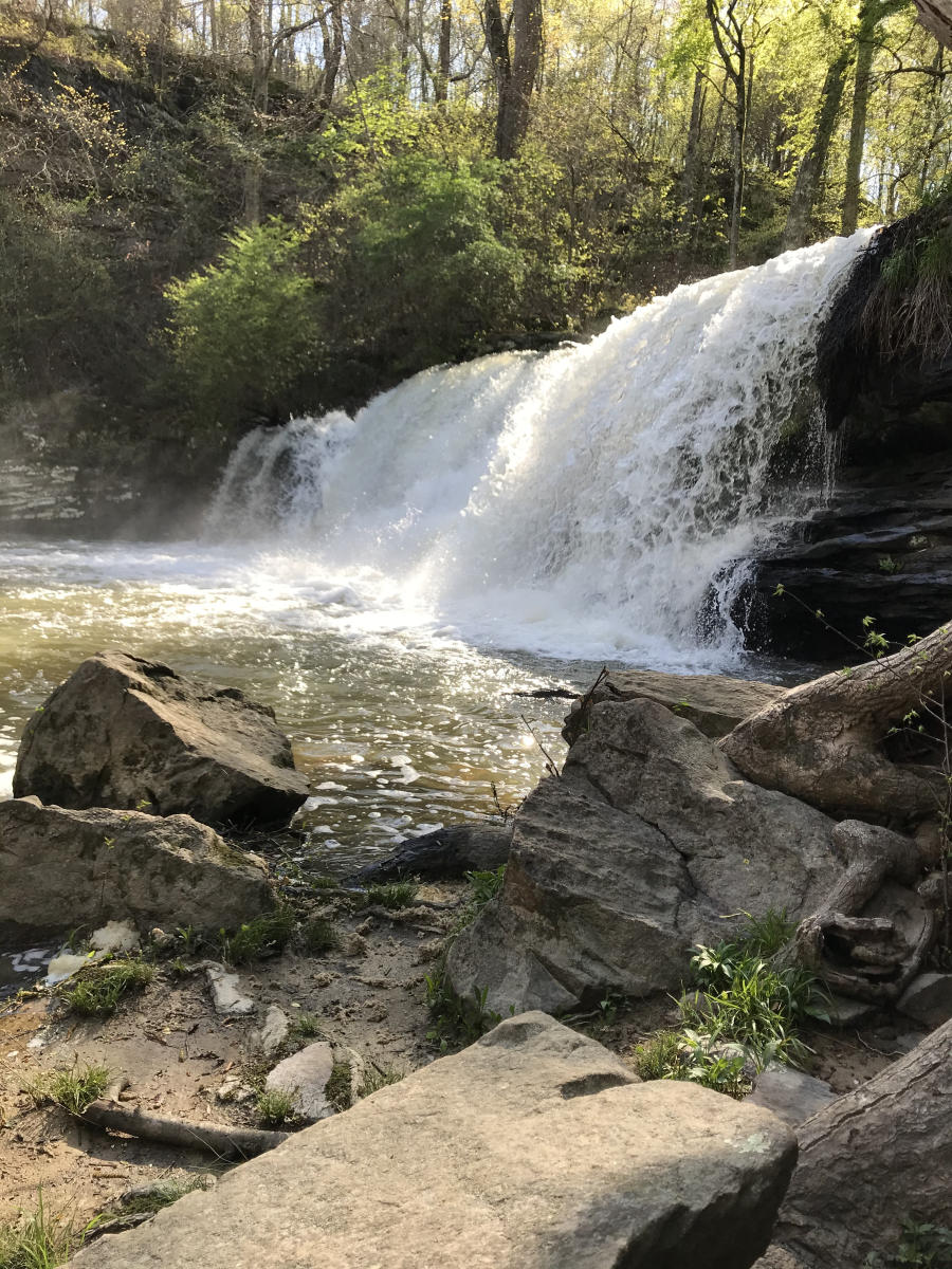 mardis mills falls