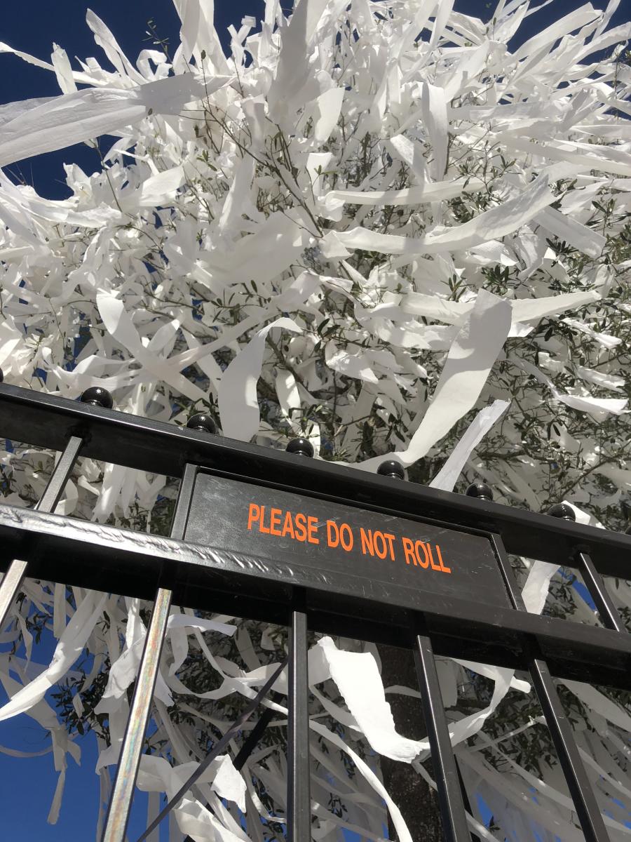 toomer's do not roll