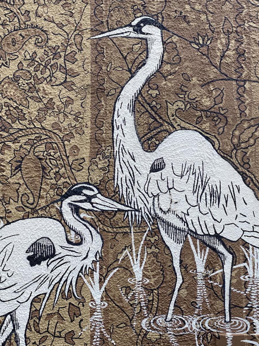 bird mural