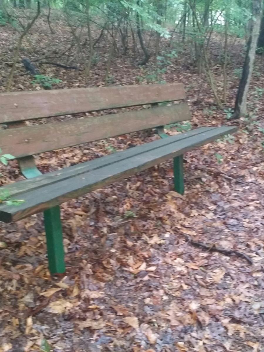 Kid's Castle Nature Preserve bench