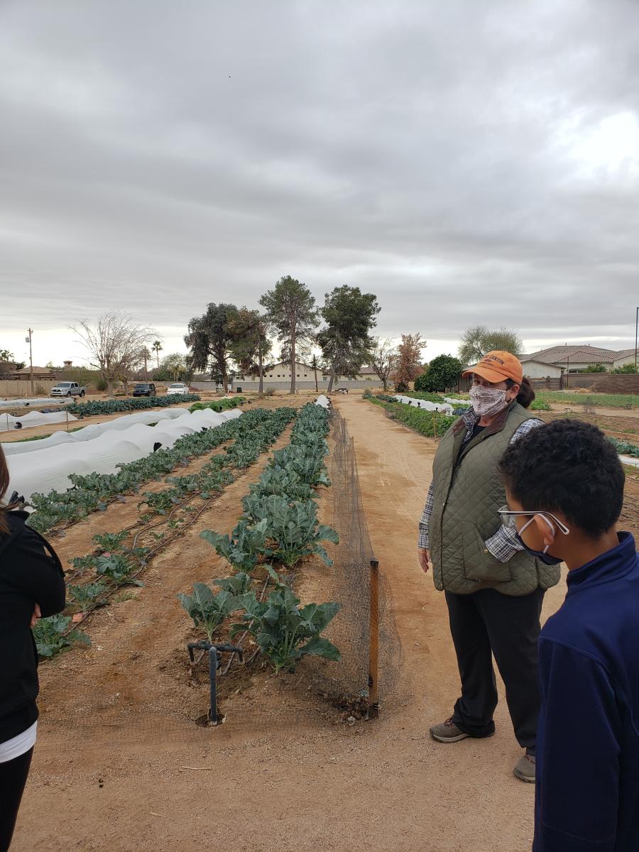 Greenhouse Gardens - farm tour