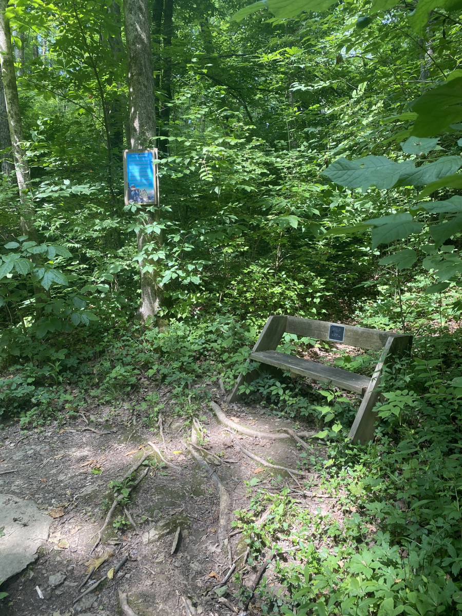 Image is of the trail inside the Highland Cemetery with a bench and a poem nailed to the tree next to it.