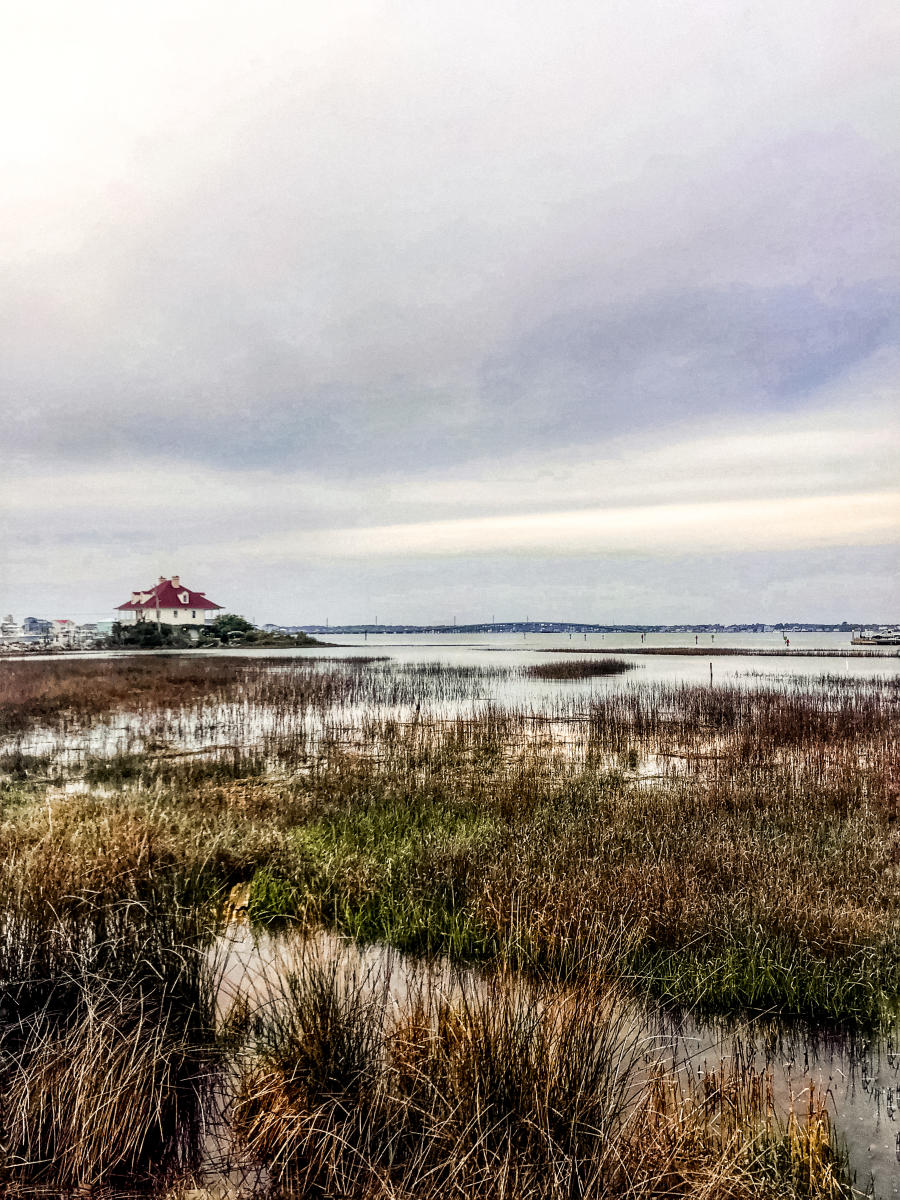 View of the bogs from Amos Mosquitoes on the Crystal Coast, NC