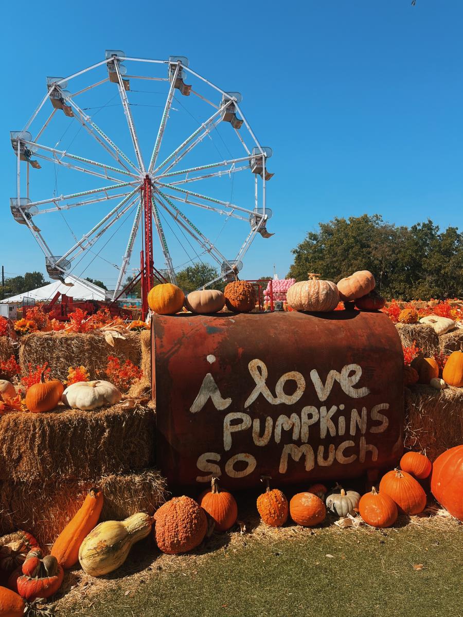 Peter Pans Backyard / Austin Pumpkin Festival