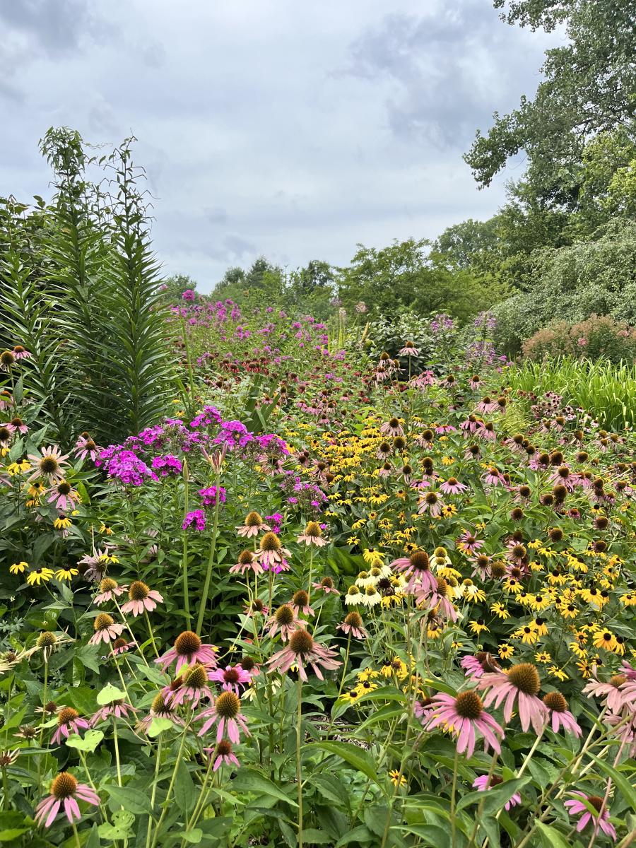 flowers at the arboretum at pritchard community center