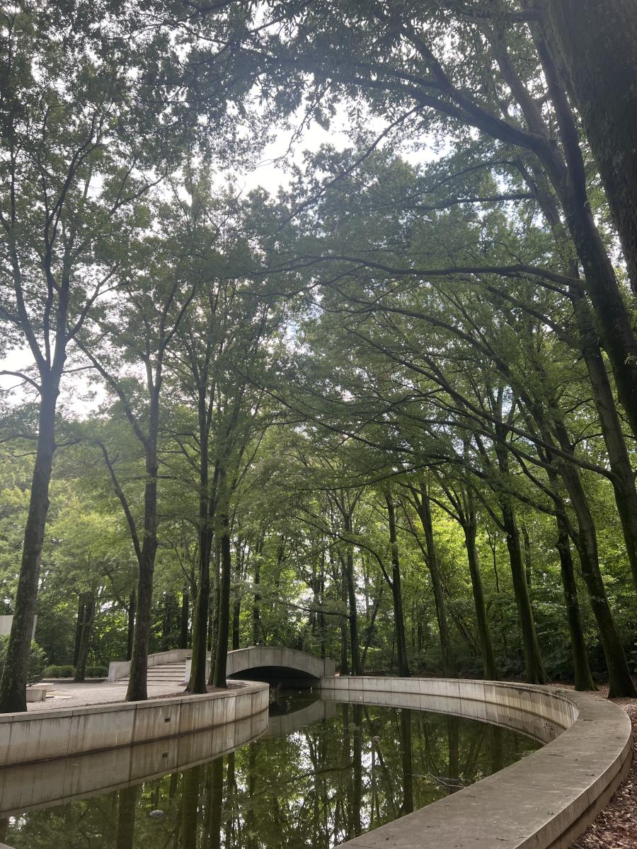 Theodore Roosevelt Island - Cami Tiani - OBVFX